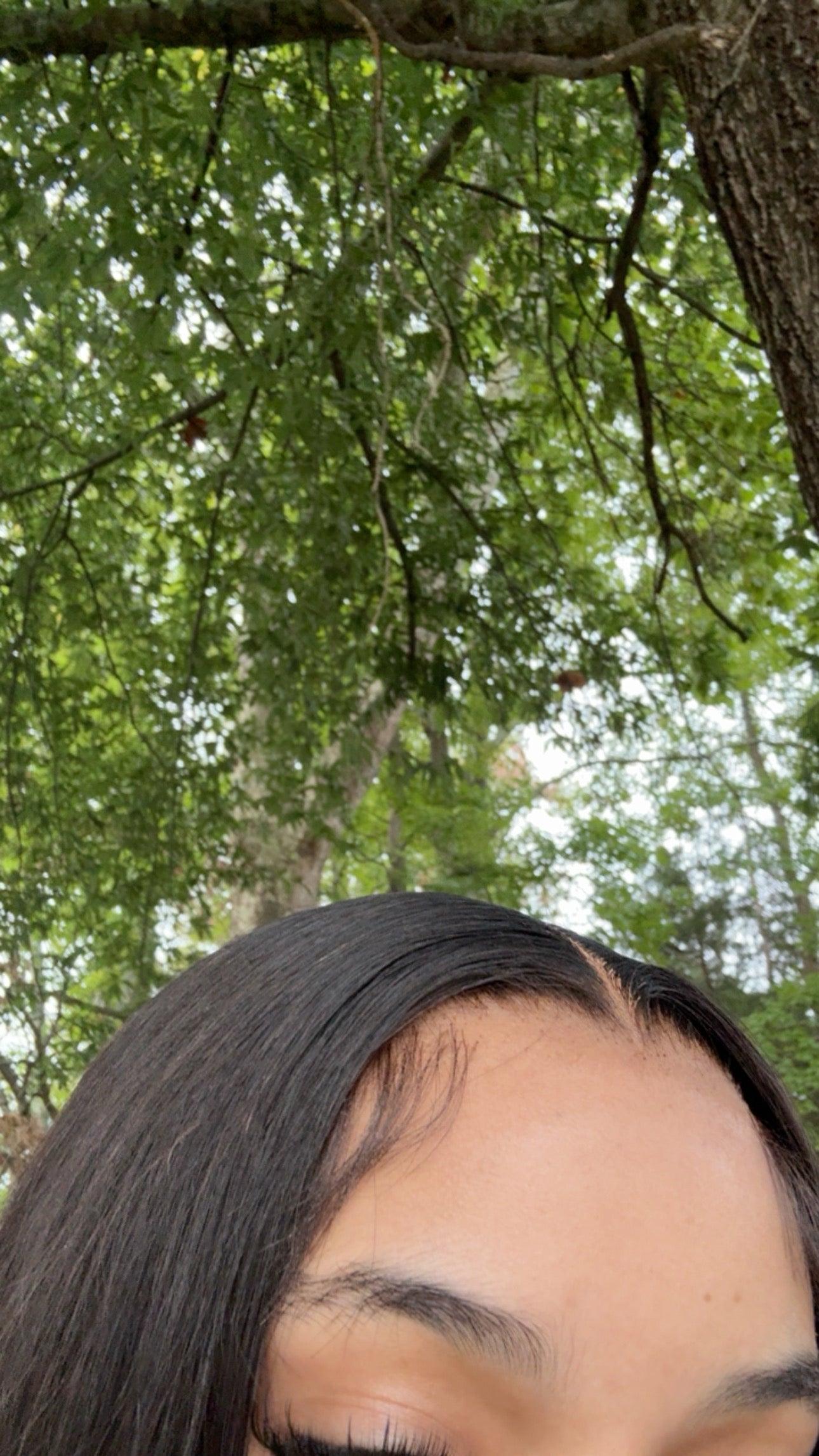 13x6 HD Frontal Wig